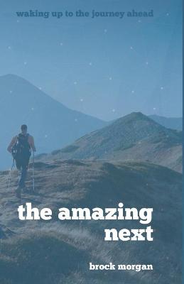 Book cover for The Amazing Next