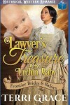 Book cover for The Lawyer's Treasure