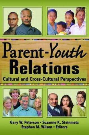 Cover of Parent-Youth Relations: Cultural and Cross-Cultural Perspectives