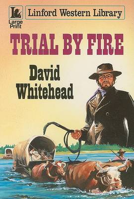 Book cover for Trial by Fire