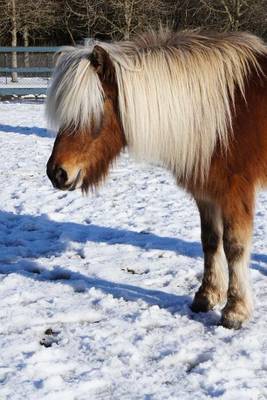 Book cover for Icelandic Horse Journal