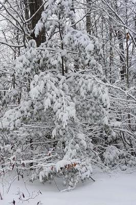 Cover of Beautiful Winter Weather Journal