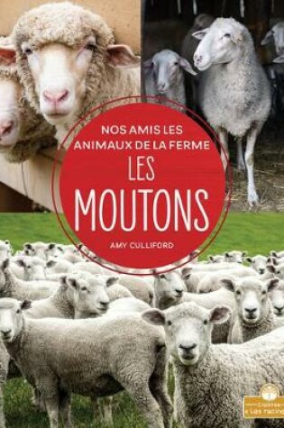 Cover of Les Moutons (Sheep)