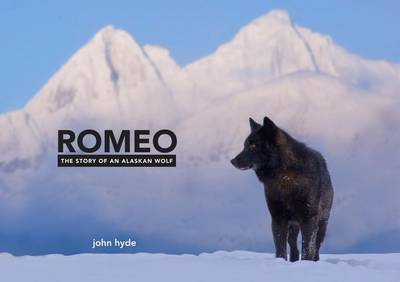 Book cover for Romeo