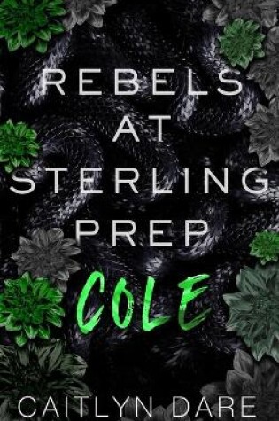 Cover of Rebels at Sterling Prep