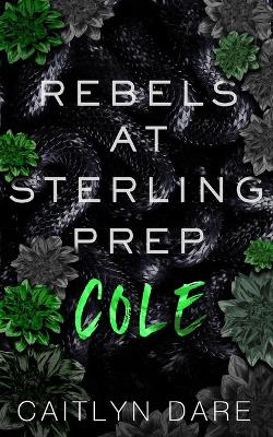 Book cover for Rebels at Sterling Prep