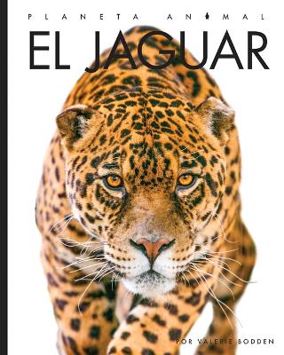 Book cover for El Jaguar