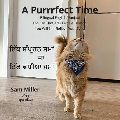 Book cover for ਇੱਕ ਸੰਪੂਰਨ ਸਮਾਂ ਜਾਂ ਇੱਕ ਵਧੀਆ ਸਮਾਂ - A Purrrfect Time