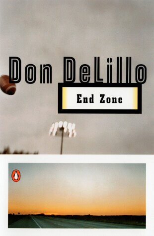 Book cover for End Zone