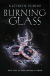 Book cover for Burning Glass