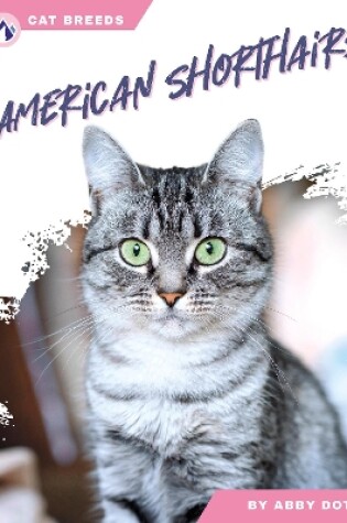 Cover of American Shorthairs