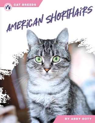 Cover of American Shorthairs