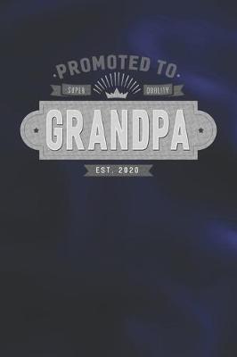 Book cover for Promoted To Super Quality Grandpa Est. 2020