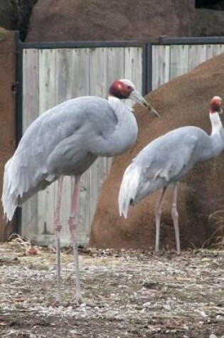 Cover of Sarus Crane (Grus Antigone) Bird Journal