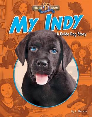 Book cover for My Indy