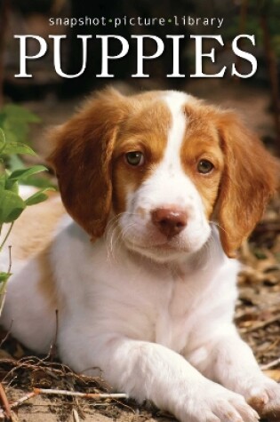 Cover of Puppies