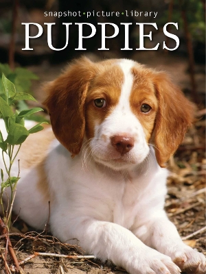 Book cover for Puppies