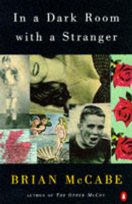 Book cover for In a Dark Room with a Stranger