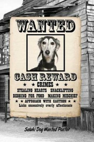 Cover of Saluki Dog Wanted Poster