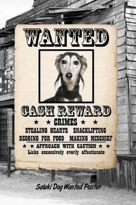 Book cover for Saluki Dog Wanted Poster