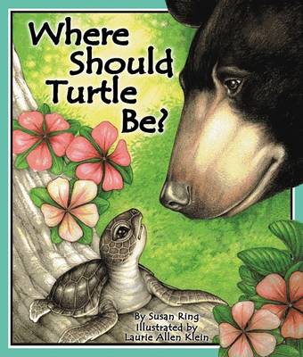 Book cover for Where Should Turtle Be?