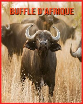 Book cover for Buffle d'Afrique