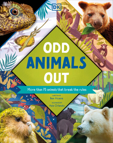 Book cover for Odd Animals Out