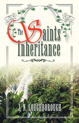 Book cover for The Saints' Inheritance