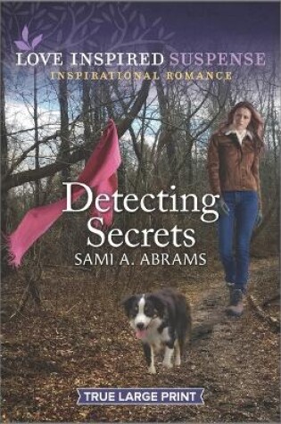 Cover of Detecting Secrets
