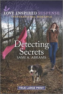 Book cover for Detecting Secrets