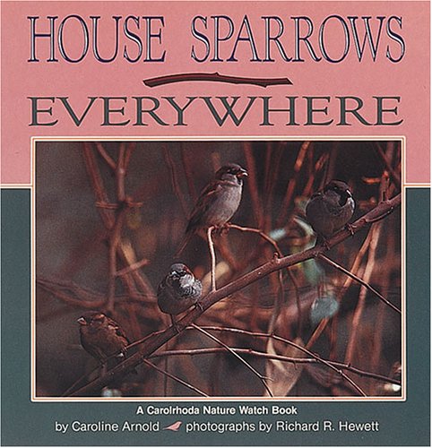 Book cover for House Sparrows Everywhere