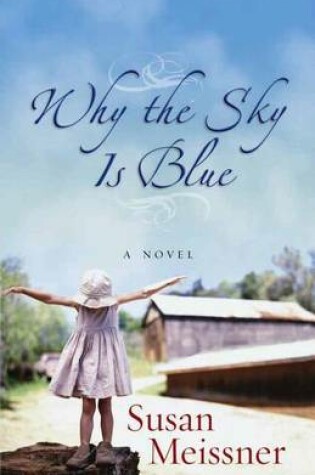 Cover of Why the Sky Is Blue