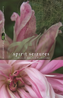 Book cover for Spirit Seizures