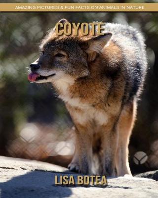 Book cover for Coyote