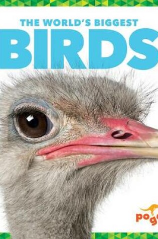 Cover of The World's Biggest Birds