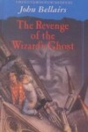 Book cover for Revenge of the Wizard's Ghost