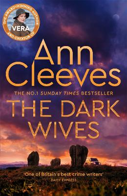 Book cover for The Dark Wives