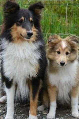 Cover of Cute Mom and Baby Collie Dogs Journal