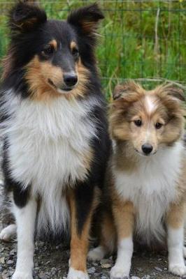 Book cover for Cute Mom and Baby Collie Dogs Journal