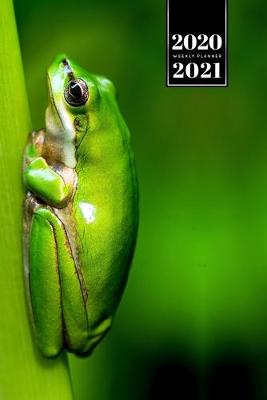 Book cover for Frog Toad Week Planner Weekly Organizer Calendar 2020 / 2021 - All Green