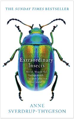 Book cover for Extraordinary Insects