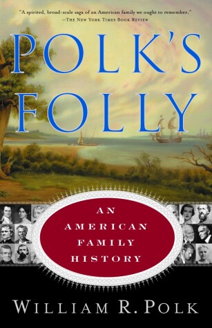 Book cover for Polk's Folly