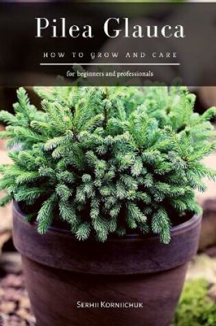 Cover of Pilea Glauca