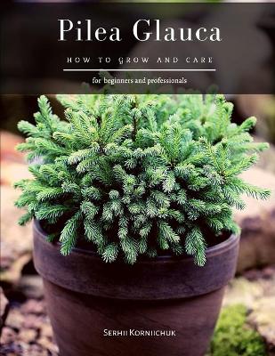 Cover of Pilea Glauca