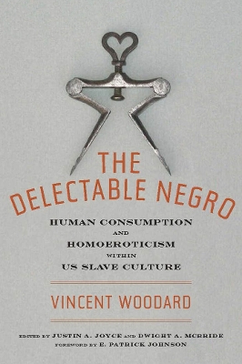 Book cover for The Delectable Negro