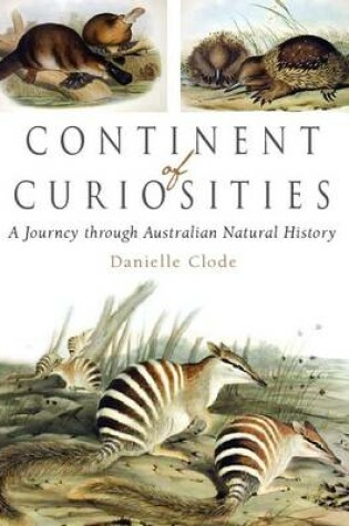 Cover of Continent of Curiosities