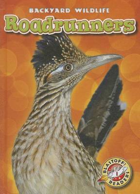 Cover of Roadrunners