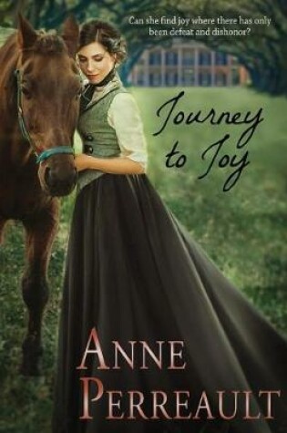 Cover of Journey to Joy