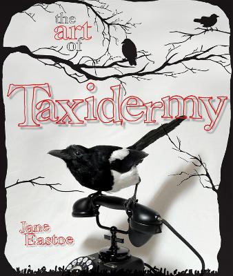 Cover of The Art of Taxidermy