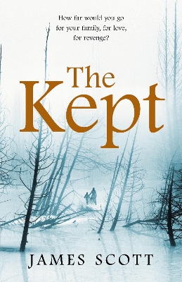 Cover of The Kept